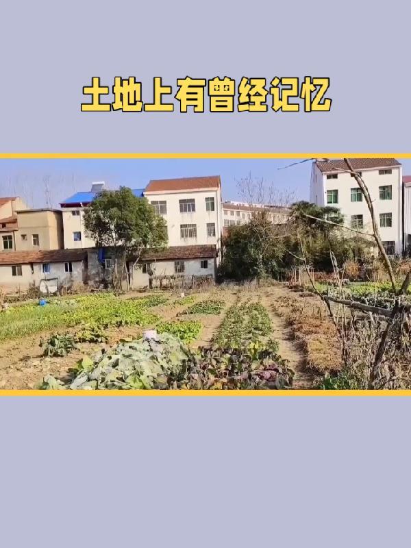 土地上有曾经记忆吗 土地上有曾经记忆吗