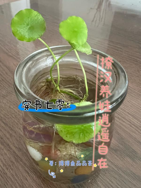 穿书七零撩汉养娃逍遥自在 摸摸鱼品品茶 穿书七零撩汉养娃逍遥自在 摸摸鱼品品茶
