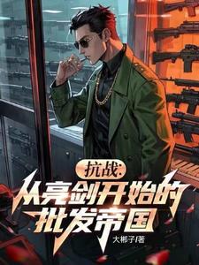 抗战从亮剑开始 抗战从亮剑开始