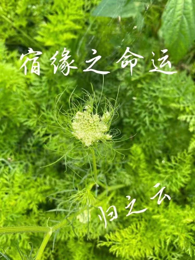 宿缘是指什么意思 宿缘是指什么意思
