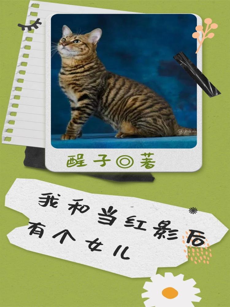和影后cp后我爆红了 和影后cp后我爆红了