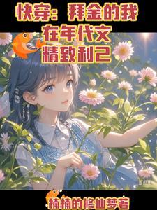 快穿拜金的我在年代文精致利己李娜 快穿拜金的我在年代文精致利己李娜