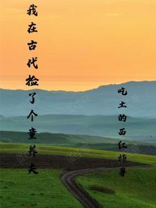 我在古代养媳妇 我在古代养媳妇