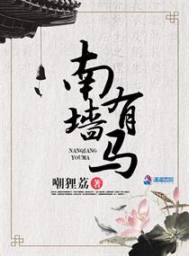 南墙指的什么生肖 南墙指的什么生肖