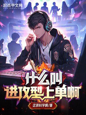 什么叫进攻型上单啊精校 什么叫进攻型上单啊精校