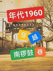 年代1960穿越南锣鼓巷类似的 年代1960穿越南锣鼓巷类似的