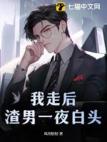 我走后渣男一夜白头最新入库 我走后渣男一夜白头最新入库