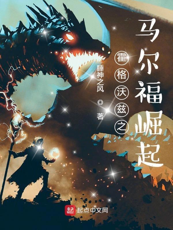 霍格沃茨之战 霍格沃茨之战