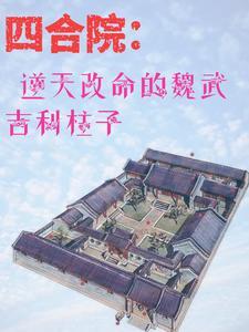 四合院开局抢了娄晓娥进入小世界 四合院开局抢了娄晓娥进入小世界