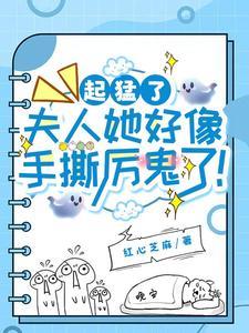 夫人最厉害 夫人最厉害