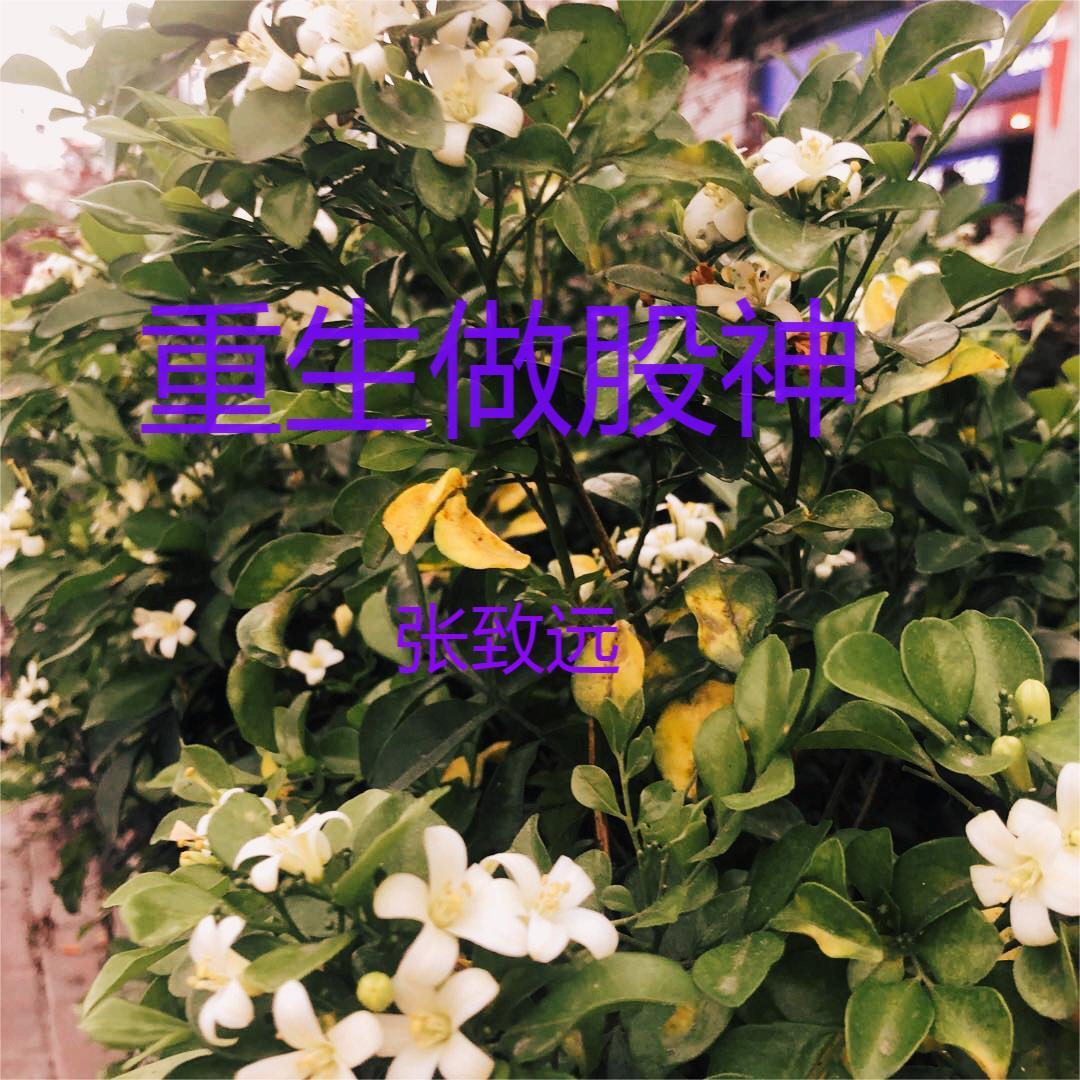 重生金融巨鳄最新章节 重生金融巨鳄最新章节