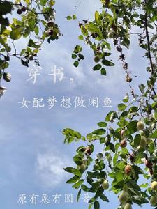 书穿女配只想当咸鱼 书穿女配只想当咸鱼