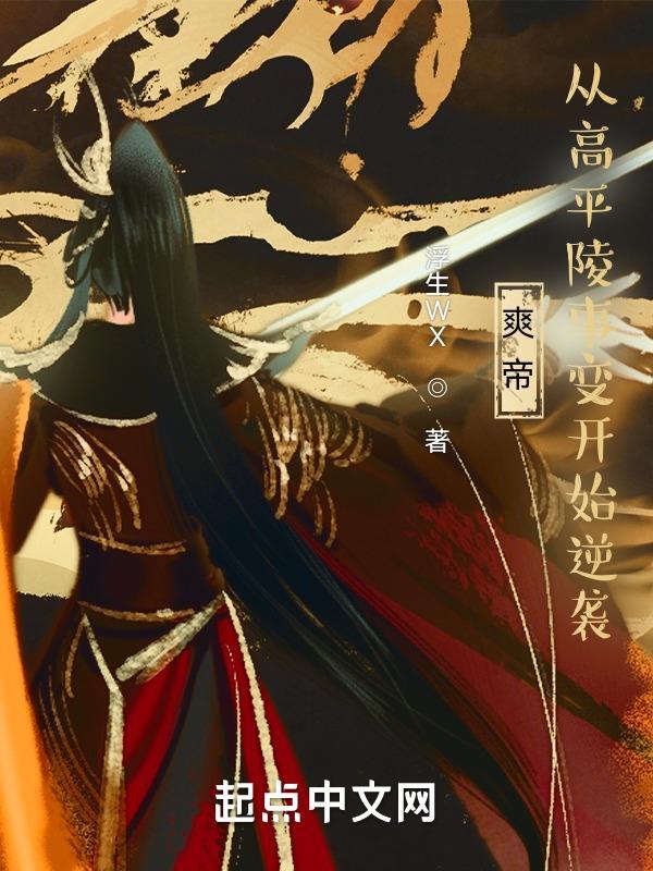 曹爽高平陵之变 曹爽高平陵之变