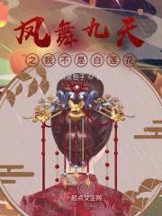凤舞九天原著 凤舞九天原著